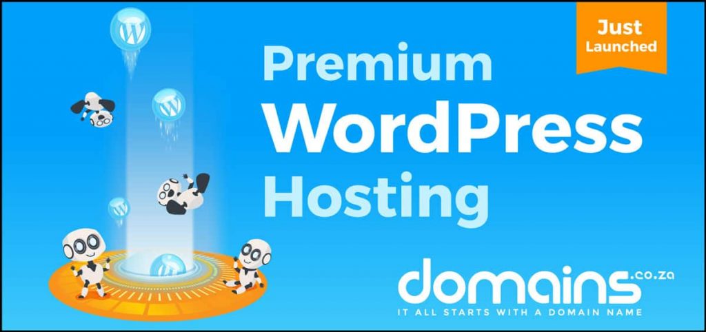 domains.co.za-Hosting