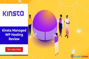 Kinsta WordPress Hosting review: Is it Worth the Hype? (Kinsta Discount & Coupons)