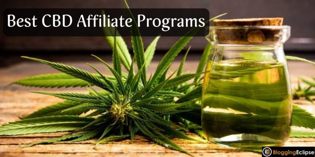 9 Best Highest Paying CBD Affiliate Programs in 2024