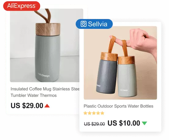 Dropshipping in the USA with Sellvia 