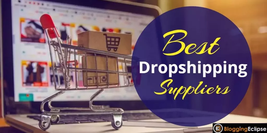 14+ Best Dropshipping Suppliers for Online Business 2024