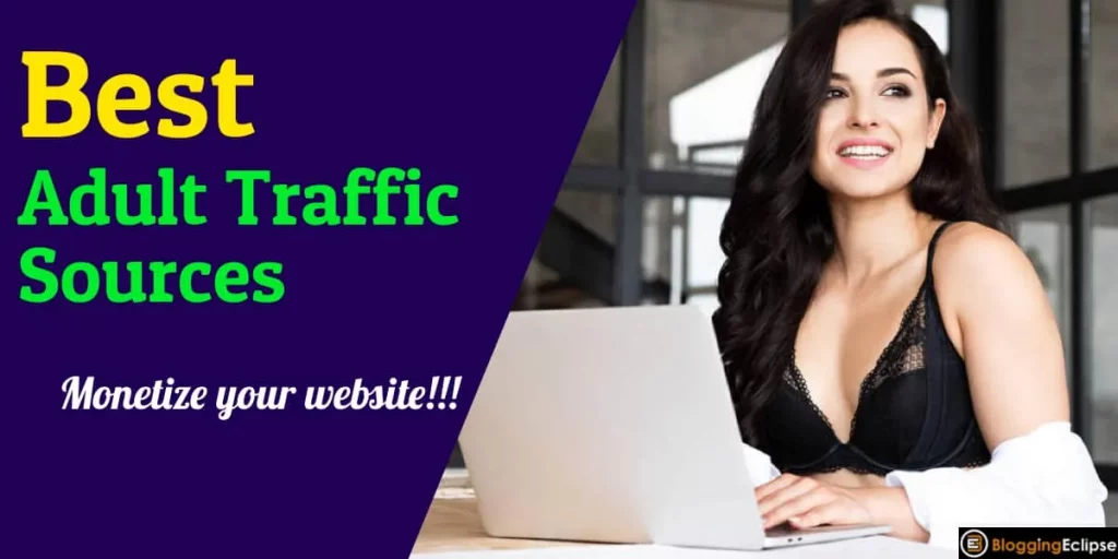 16+ Best Adult Traffic Sources for Affiliate Marketing [2024]