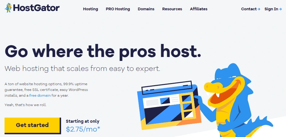 Vicetemple Review: #1 Adult Web Hosting Provider in 2023 1