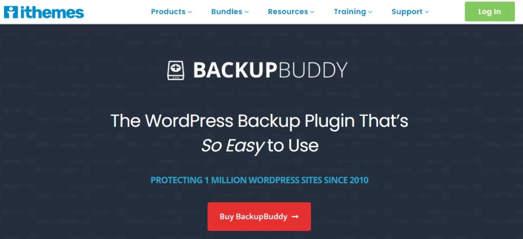 Backup Buddy Review