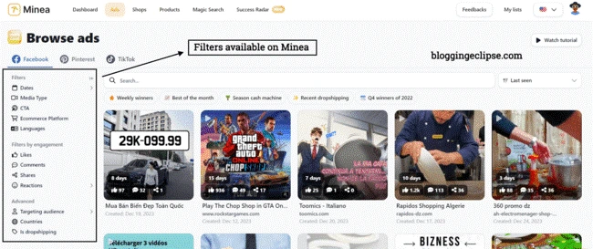 Use Filters to Search Ads in Minea